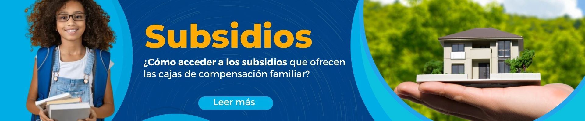Subsidios